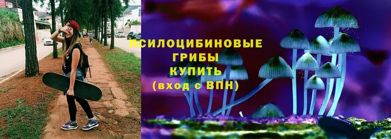 Галлюциногенные грибы Psilocybine cubensis  Киреевск 